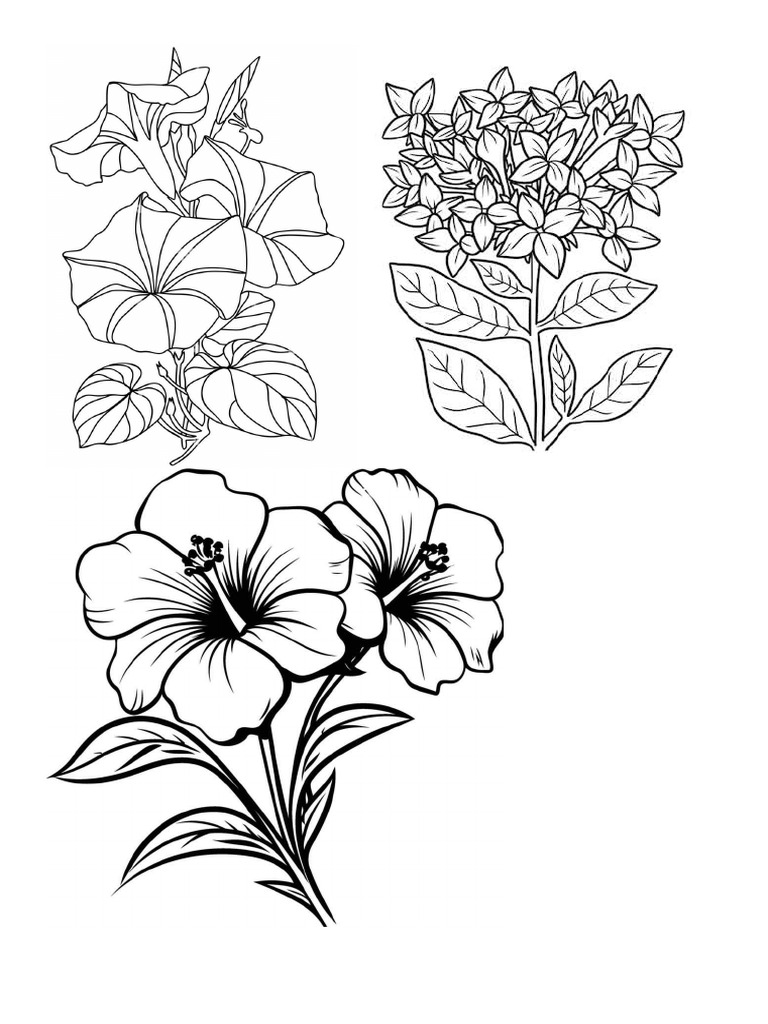 Flower | PDF