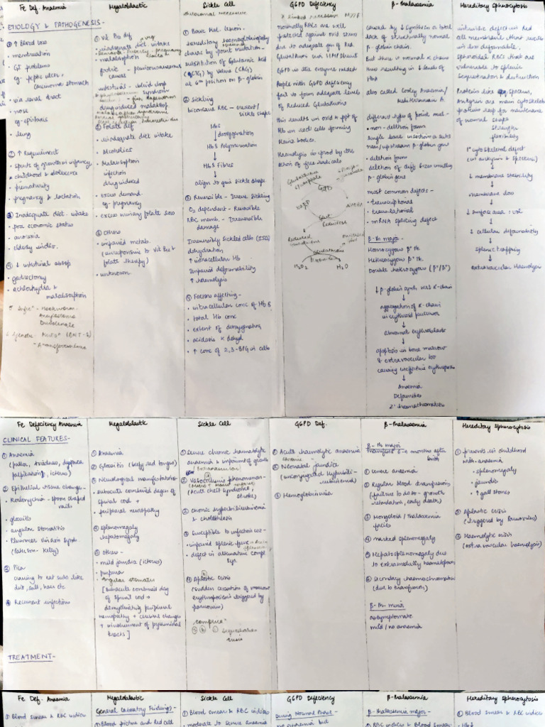 Hematology and Blood Disorders Overview | PDF