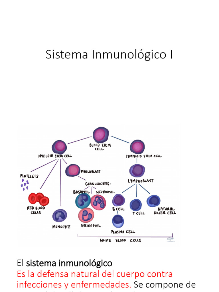 Sistema Inmunológico I | PDF