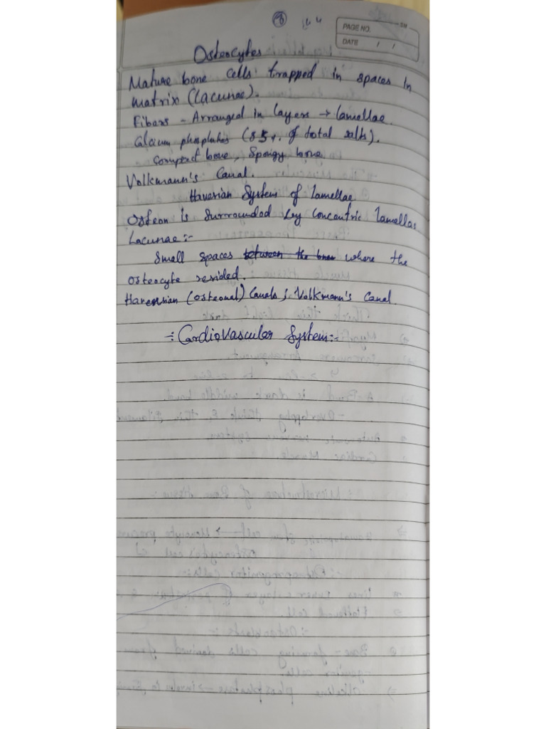 Class notes for BDS 1st year | PDF