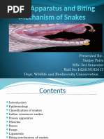 Serpent Breathing Techniques Overview | PDF | Snake