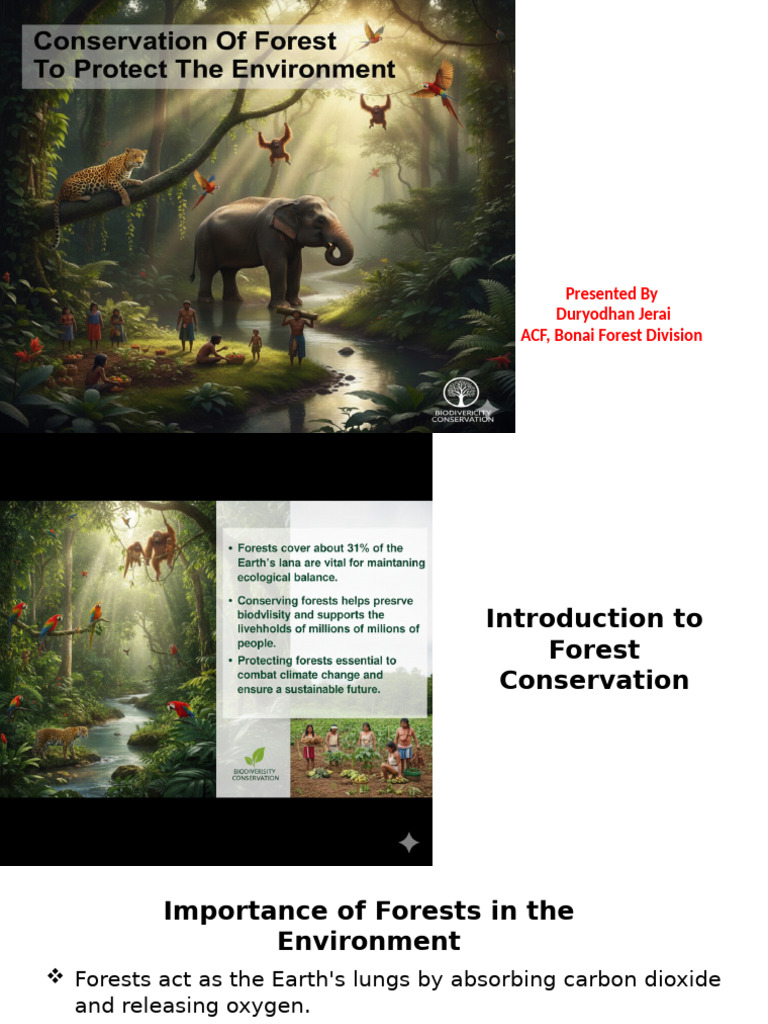 Forest Conservation Strategies and Benefits | PDF | Forest Management ...