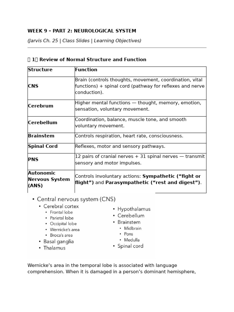 Neurological System Overview and Assessment | PDF | Stroke | Central ...