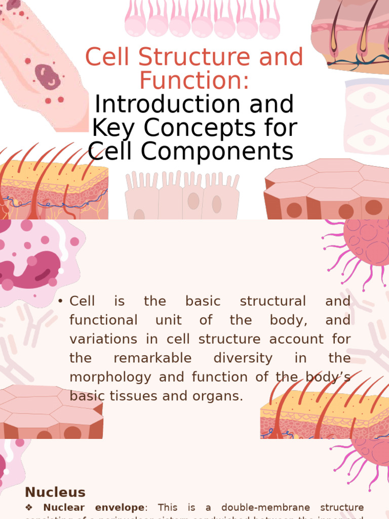 Chapter 1 Part 2 | PDF | Endoplasmic Reticulum | Cell Nucleus