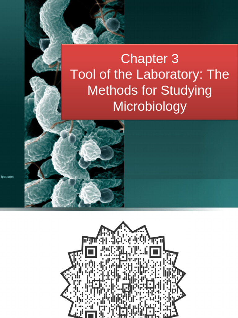 Chapter03_lecture | PDF | Staining | Angular Resolution