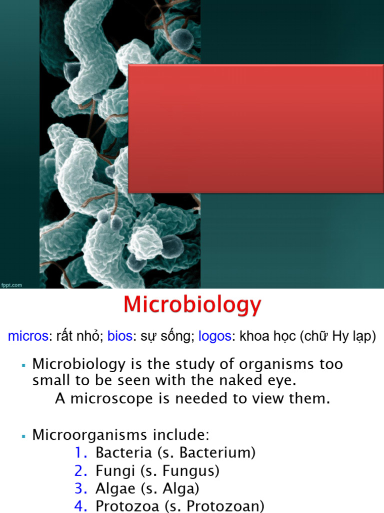 Chapter01 Lecture | PDF