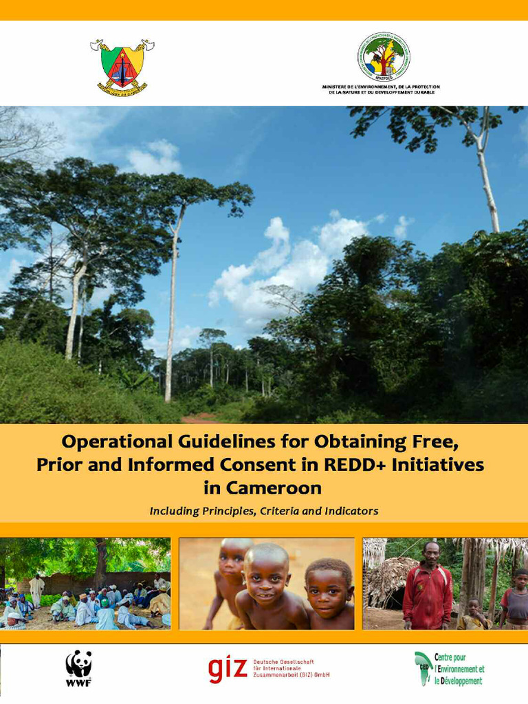FPIC Guidelines for REDD+ in Cameroon | PDF | Forest Management ...