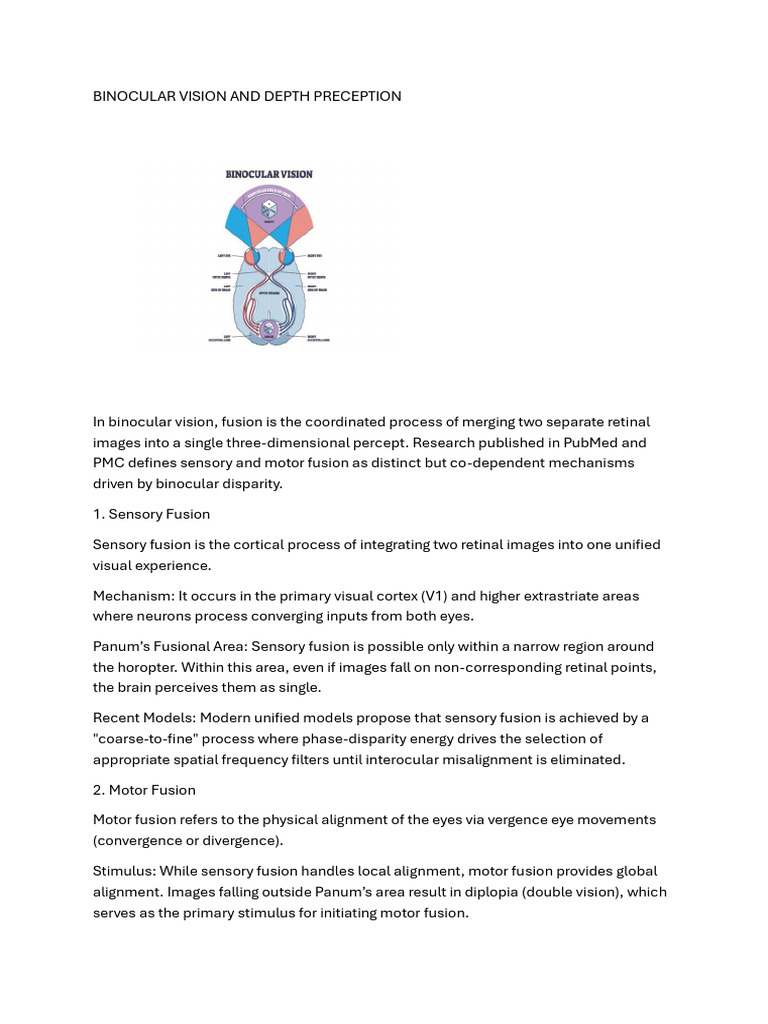 Document (7) | PDF | Visual Perception | Perception