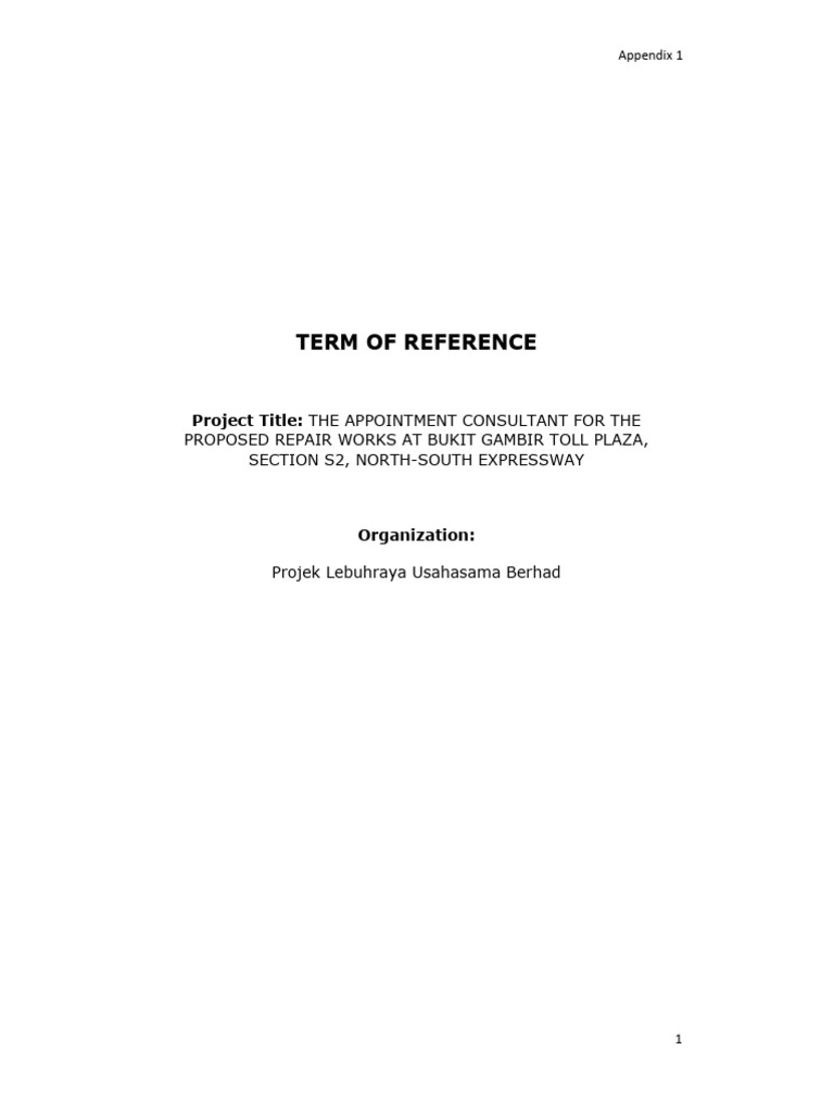 Appendix 1_Term of Reference | PDF | Road | Regulatory Compliance