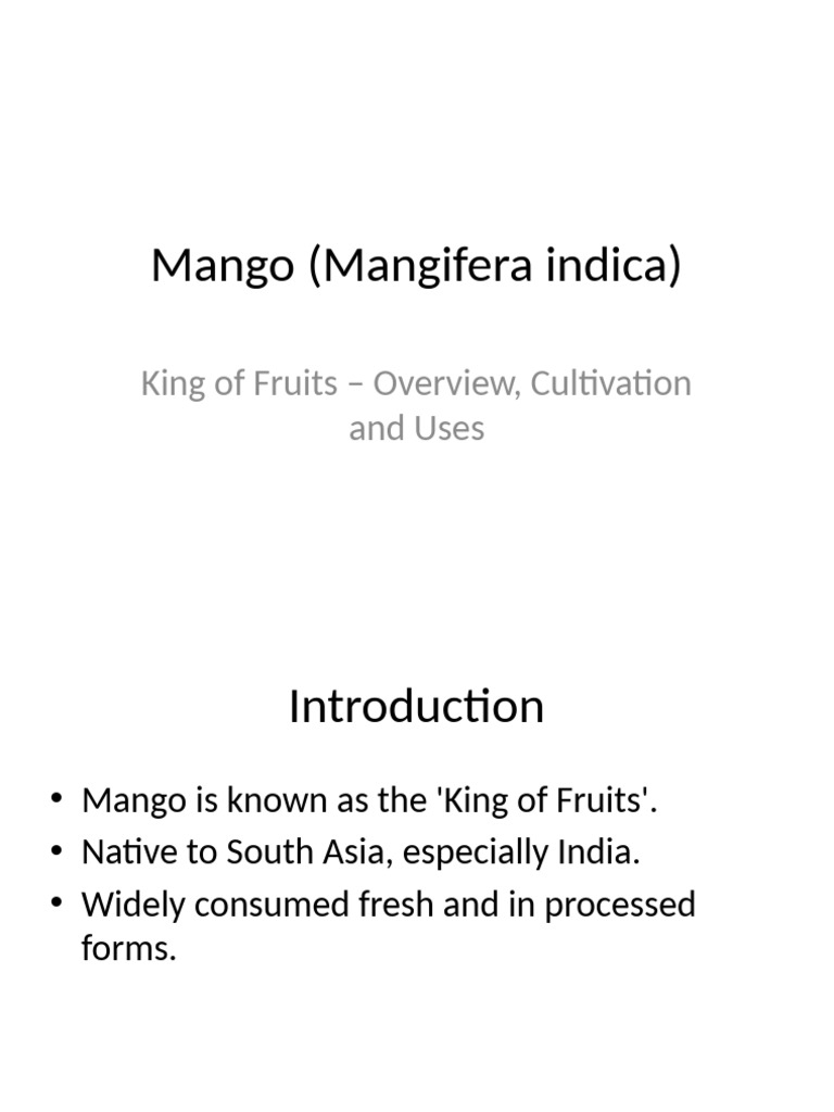 Mango Presentation | PDF