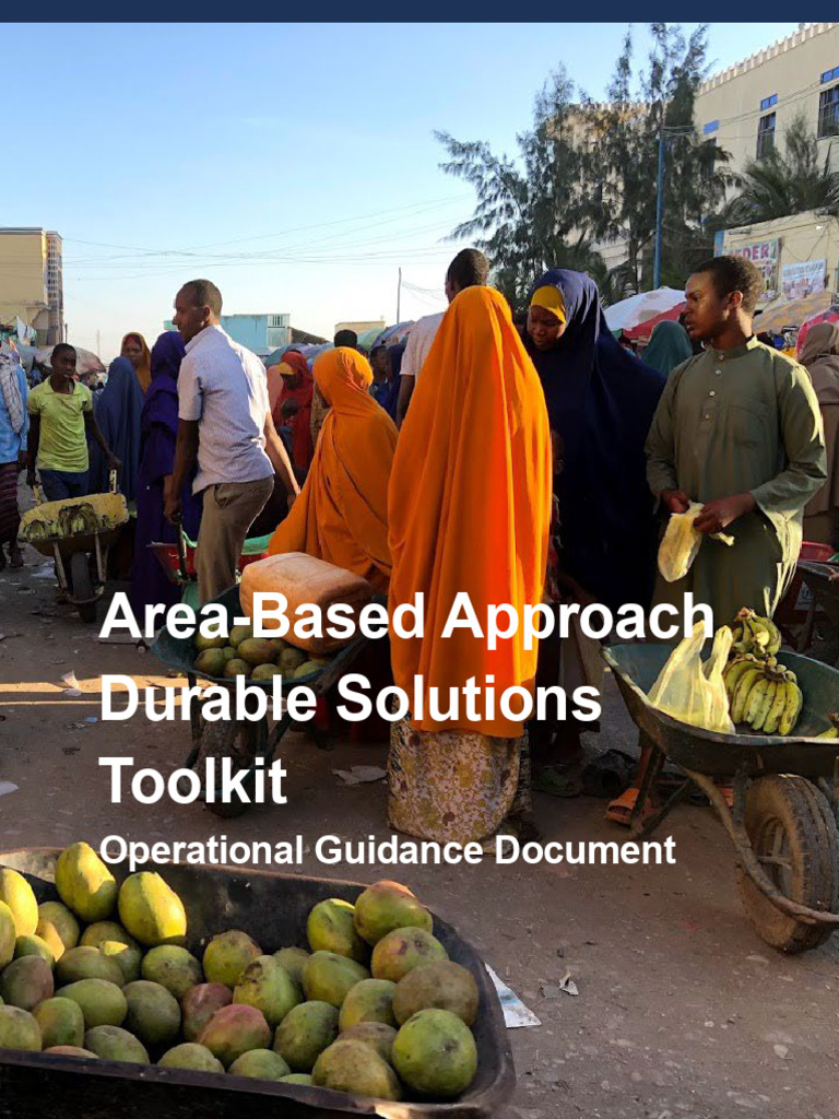 Durable Solutions Toolkit Guidance | PDF | Methodology | Qualitative ...