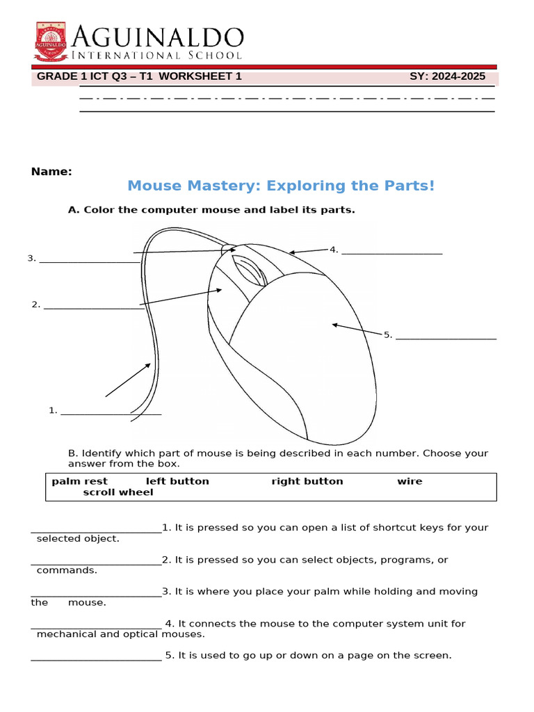 Mouse Parts Identification Worksheet | PDF