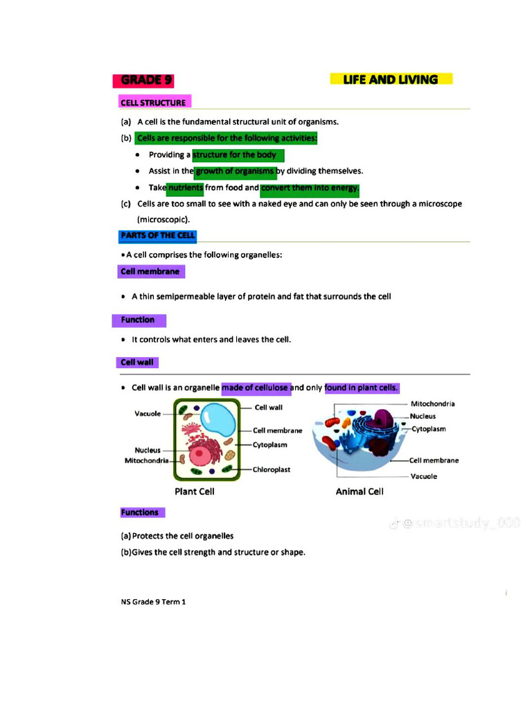 NS - Gr9 - Notes - Term 1 | PDF