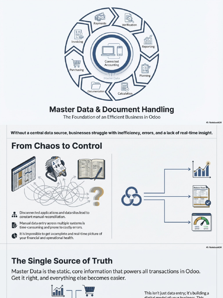 Master Data The Business Blueprint | PDF