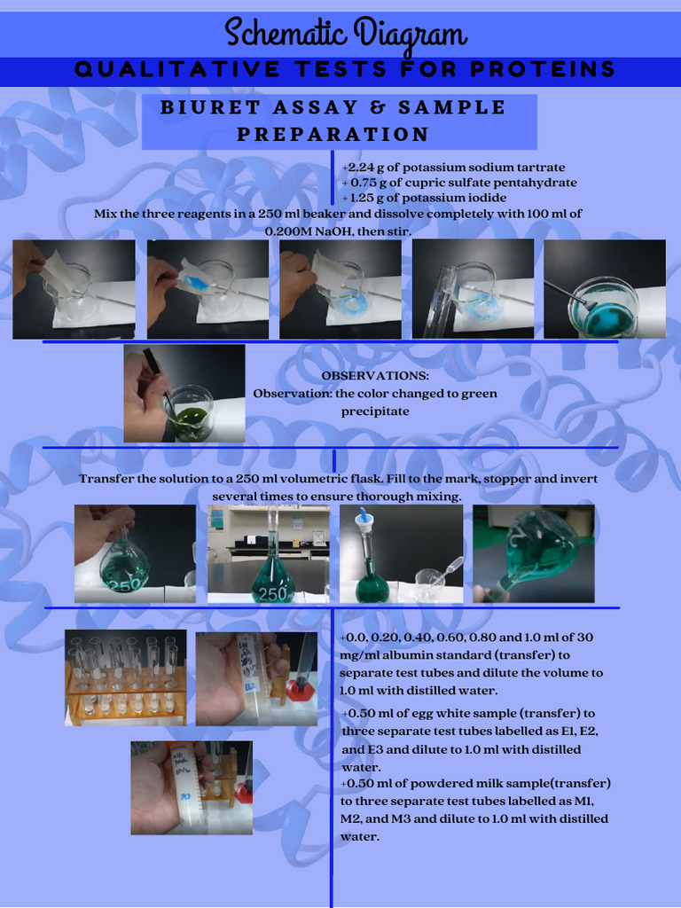 Biuret Assay for Protein Quantification | PDF | Chemistry | Analytical ...