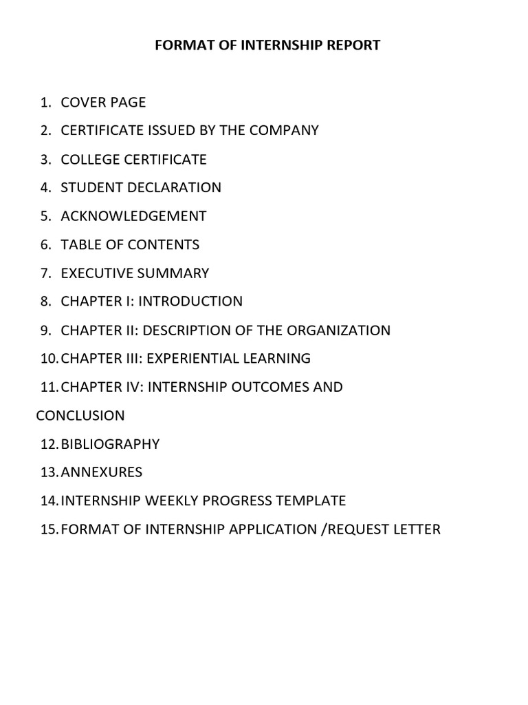 Internship Report Format Guide | PDF