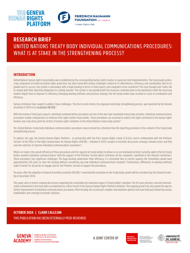 Strengthening UN Treaty Body Procedures | PDF | Human Rights | Treaty