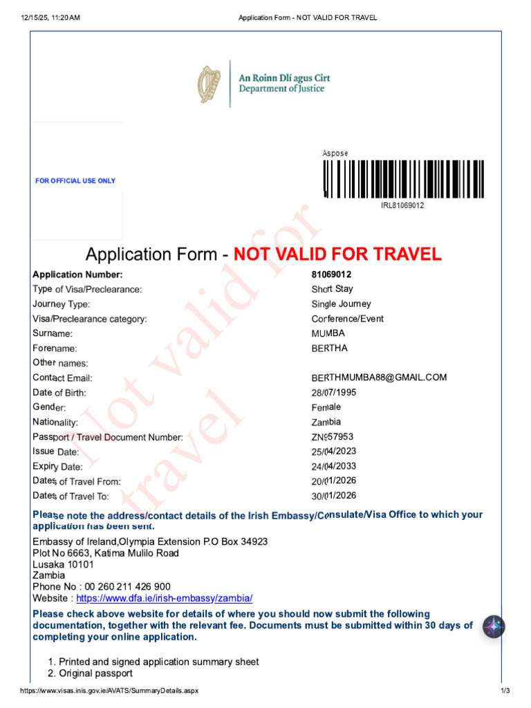 Application Form - Not Valid For Travel | PDF