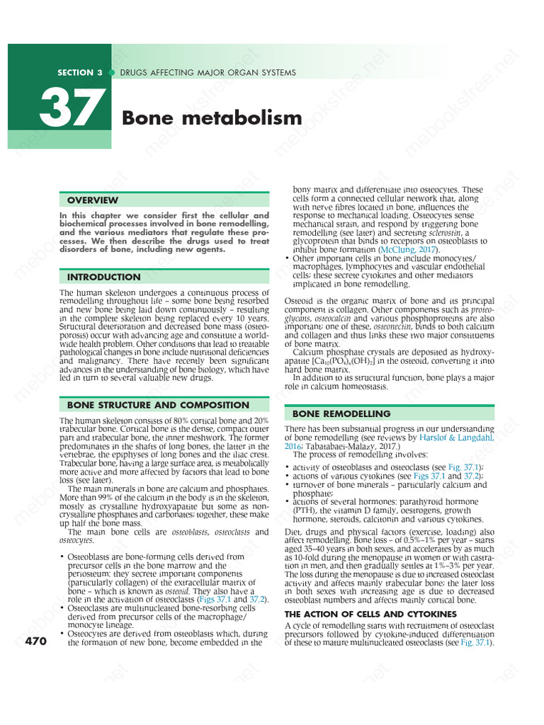 Bone Metabolism and Drug Treatments | PDF | Bone | Osteoblast