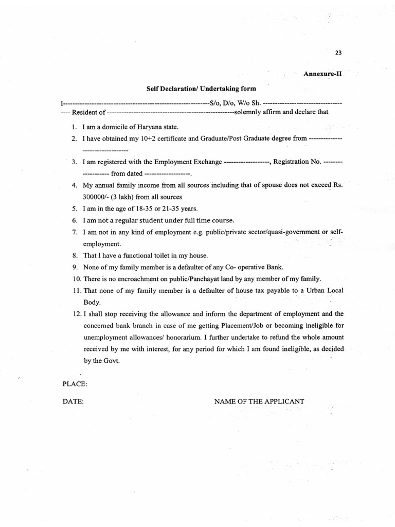 Guidelines for Effective Documentation | PDF