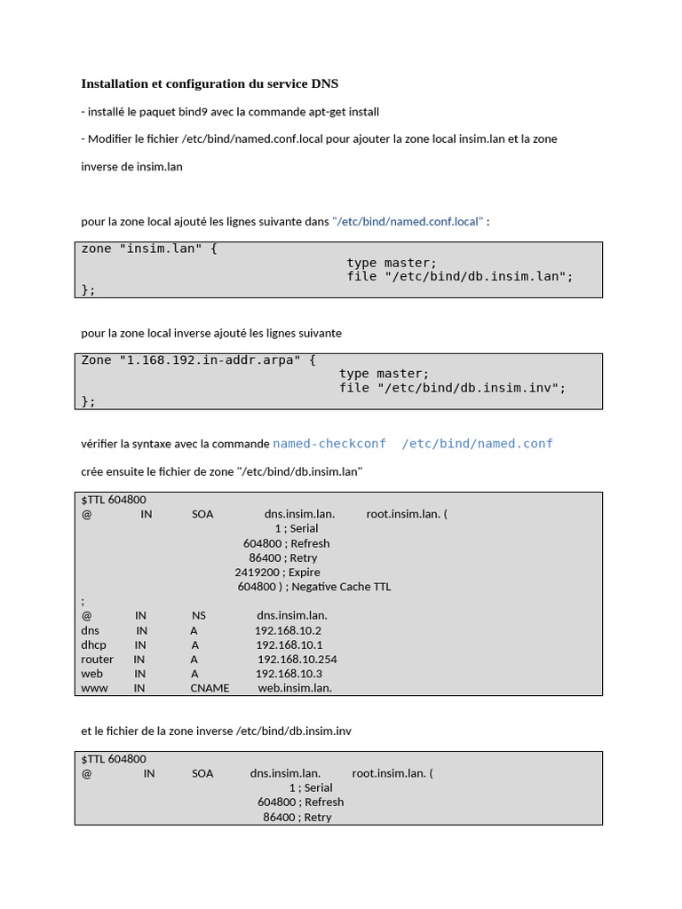 Installation DNS avec BIND9 sur Linux | PDF