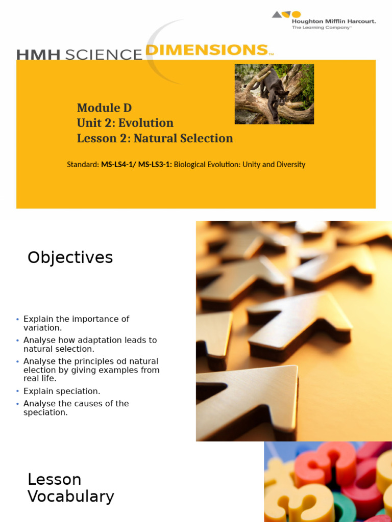 Natural Selection and Evolution Insights | PDF | Genetic Diversity ...