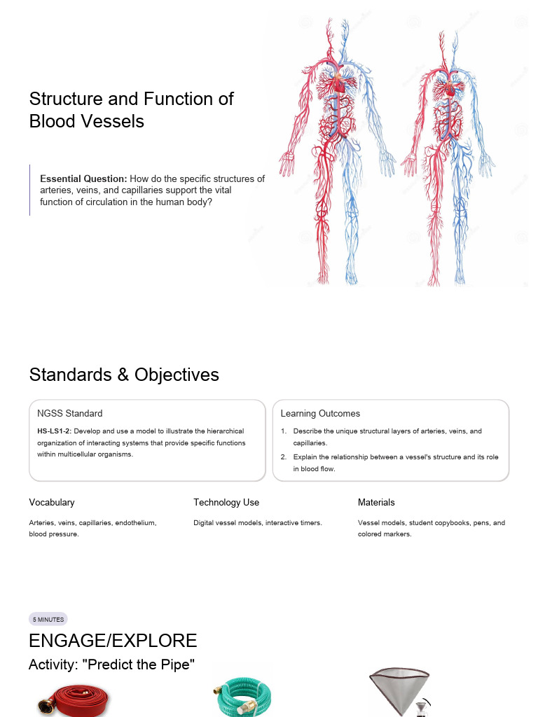 Blood Vessel Structure and Function Explained | PDF | Blood | Artery