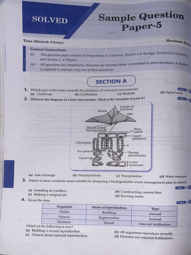 Sample Paper 5 | PDF