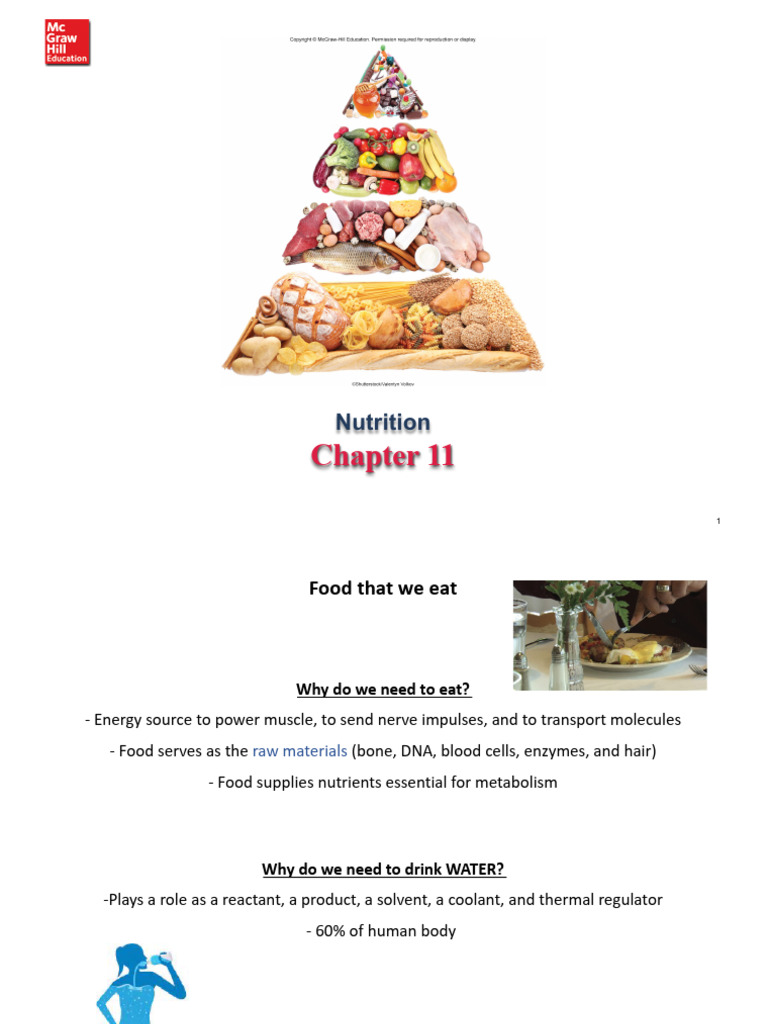 Essential Nutrients for Health and Diet | PDF | Phenylalanine | Sugar