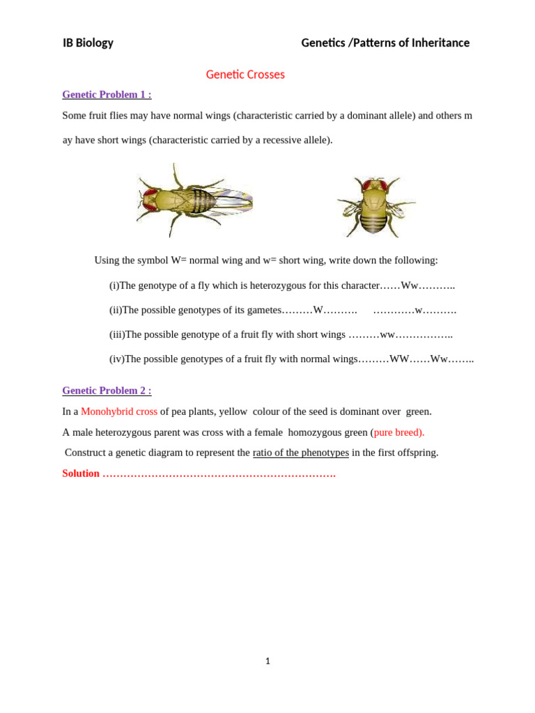 Genetics and Inheritance Patterns in IB Biology | PDF | Genotype ...