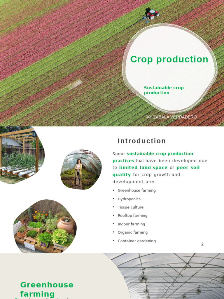 Sustainable Crop Production Methods | PDF | Hydroponics | Agricultural ...