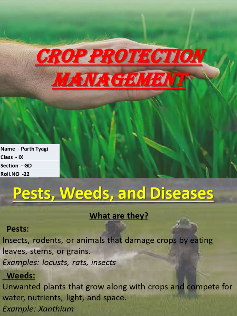 Crop Protection: Methods and Importance | PDF