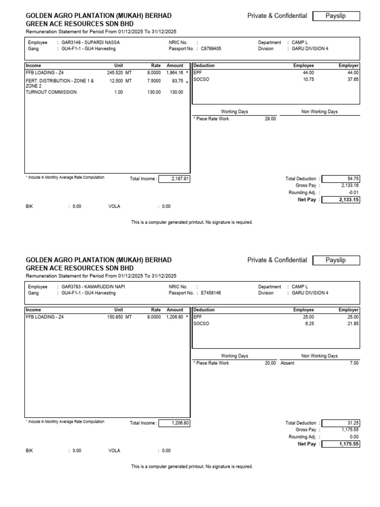 Payslip (Format 2) (55) | PDF | Paycheck | Taxes