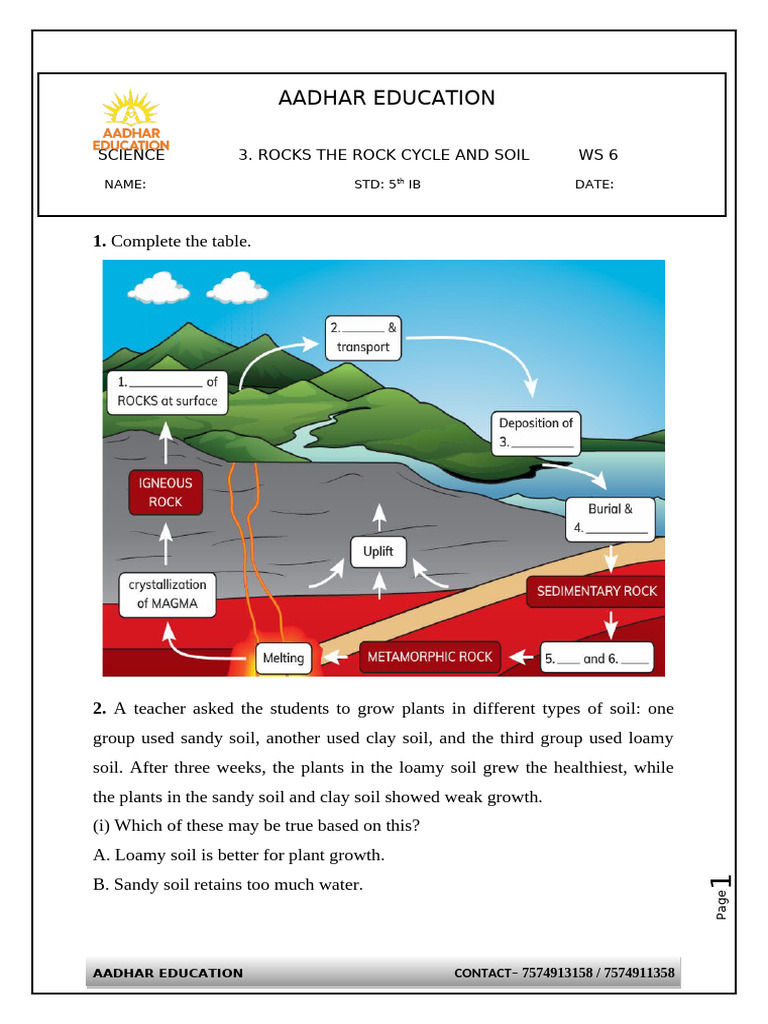 Class 5 Ch-3 Ws-6 | PDF