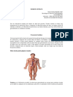 7 Signos Vitales