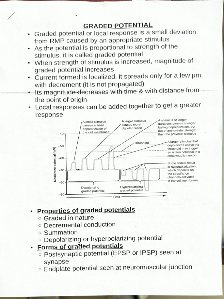 Graded Potential | PDF