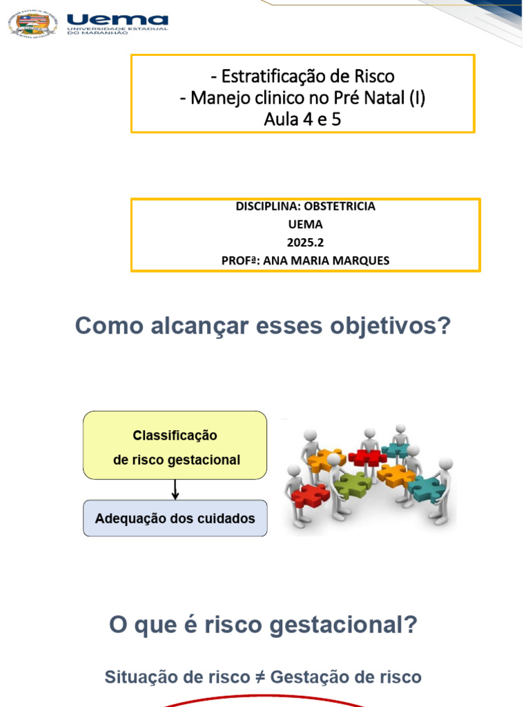 Classificação e Manejo do Risco Gestacional | PDF | Gravidez | Gravidez ...