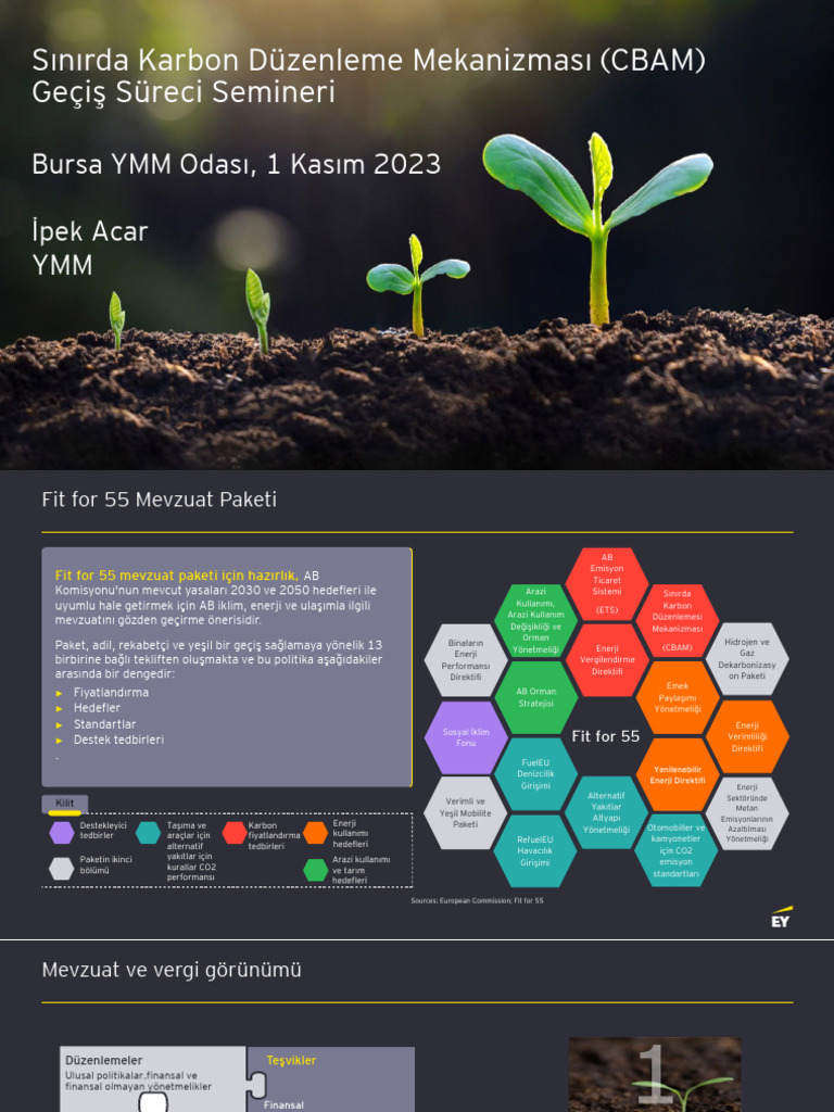 Sinirda Karbon Duzenleme Mekanizmasi Bursa YMM Odasi | PDF