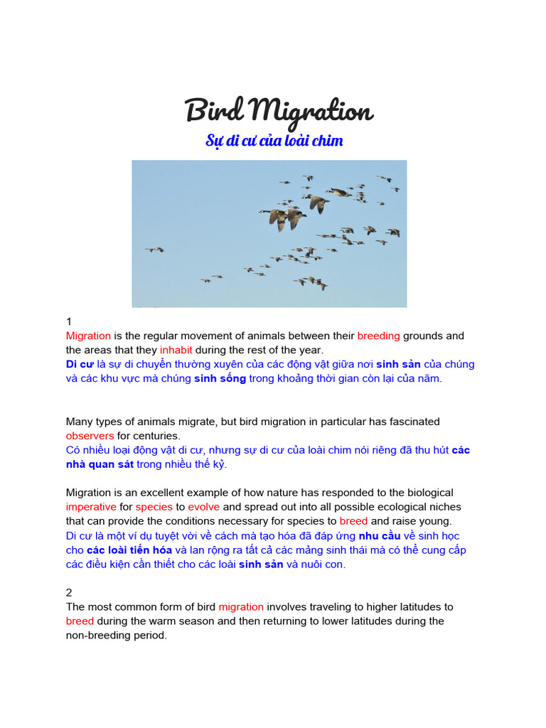 Bird Migration | PDF