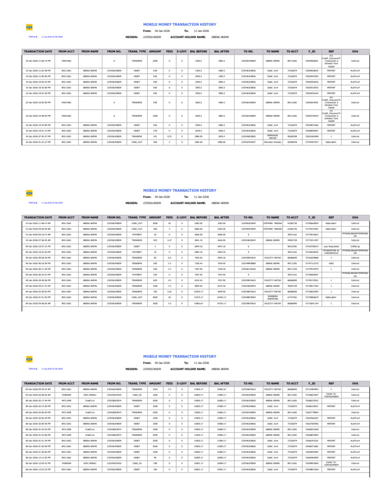 Momo Statement Report | PDF | Debit Card | Economies