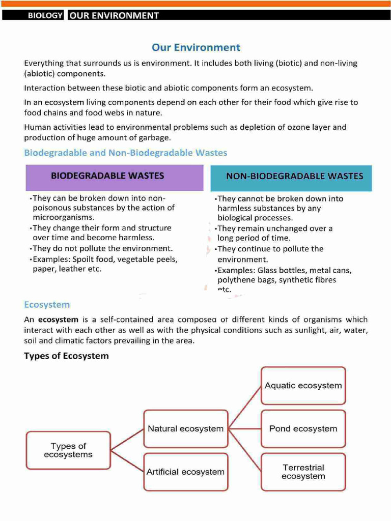 Environment Class 10 | PDF