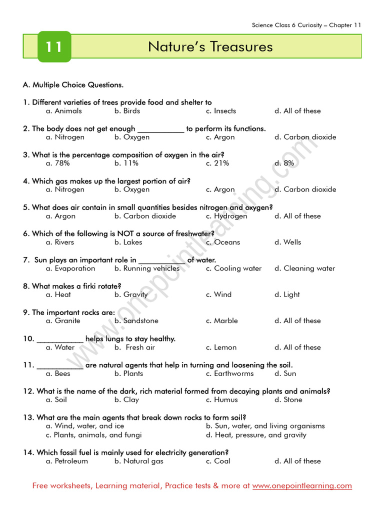 Science Class 6 Chapter 11 Quiz & Activities | PDF | Water | Soil