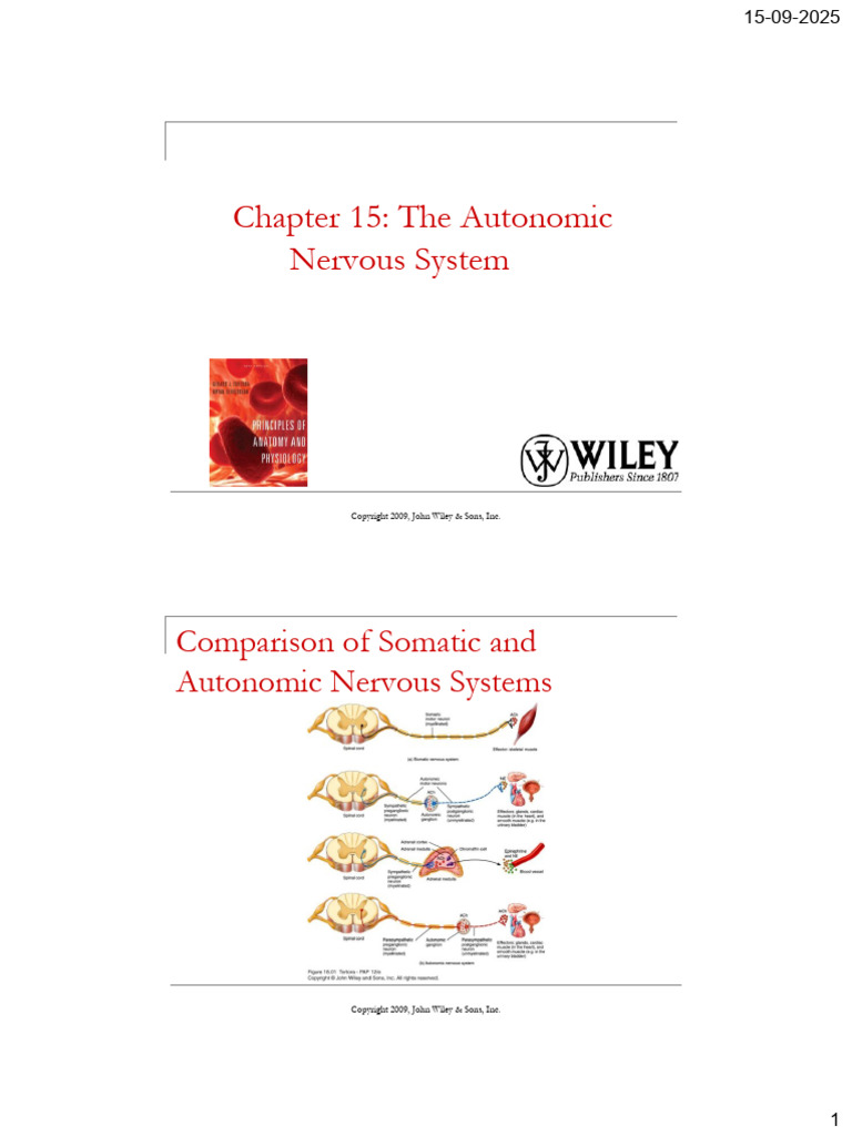 Autonomic Nervous System Overview | PDF | Autonomic Nervous System ...