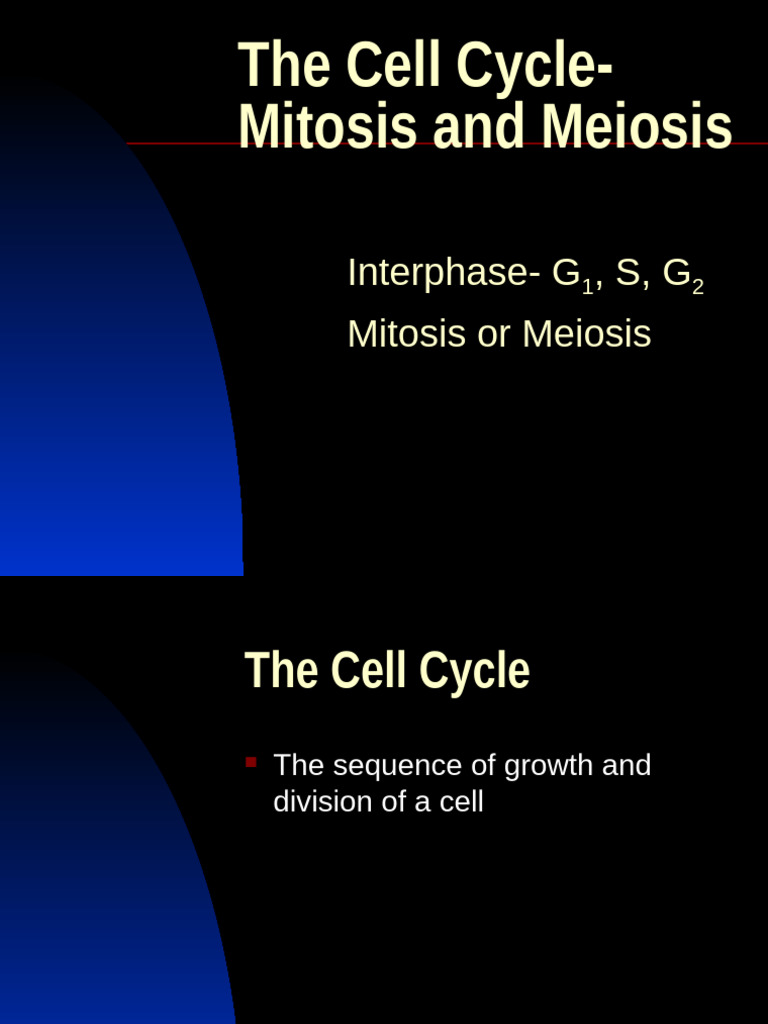 AP Cell Cycle-Mitosis and Meiosis | PDF | Meiosis | Mitosis