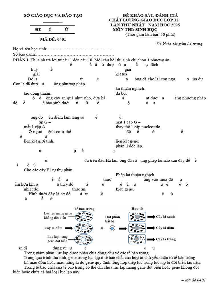Khảo sát Ninh Bình | PDF
