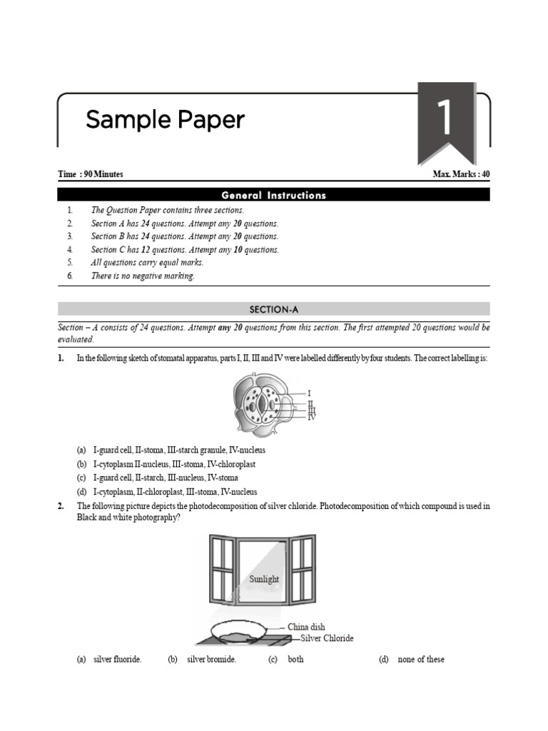 Science Sample Paper with 60 Questions | PDF | Ionic Bonding | Chemical ...