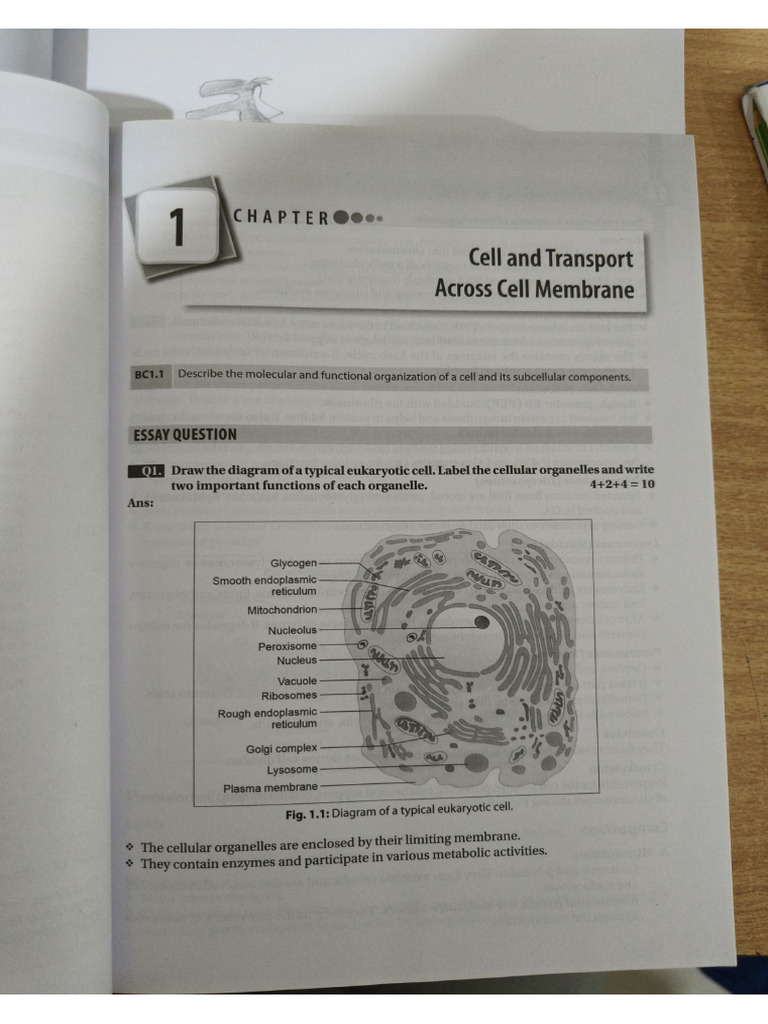 Document 7 | PDF