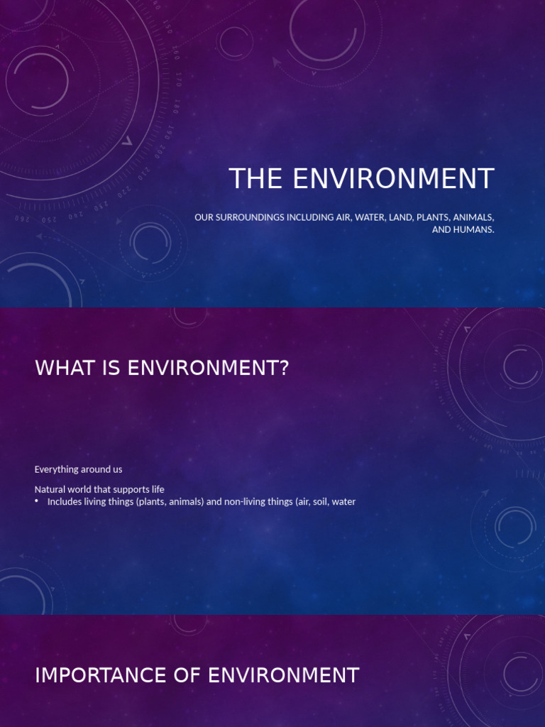The Environment | PDF