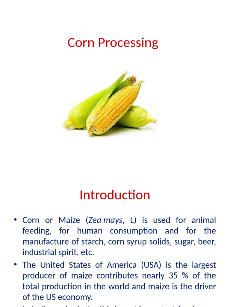 Corn Processing and Nutritional Value | PDF | Maize | Flour
