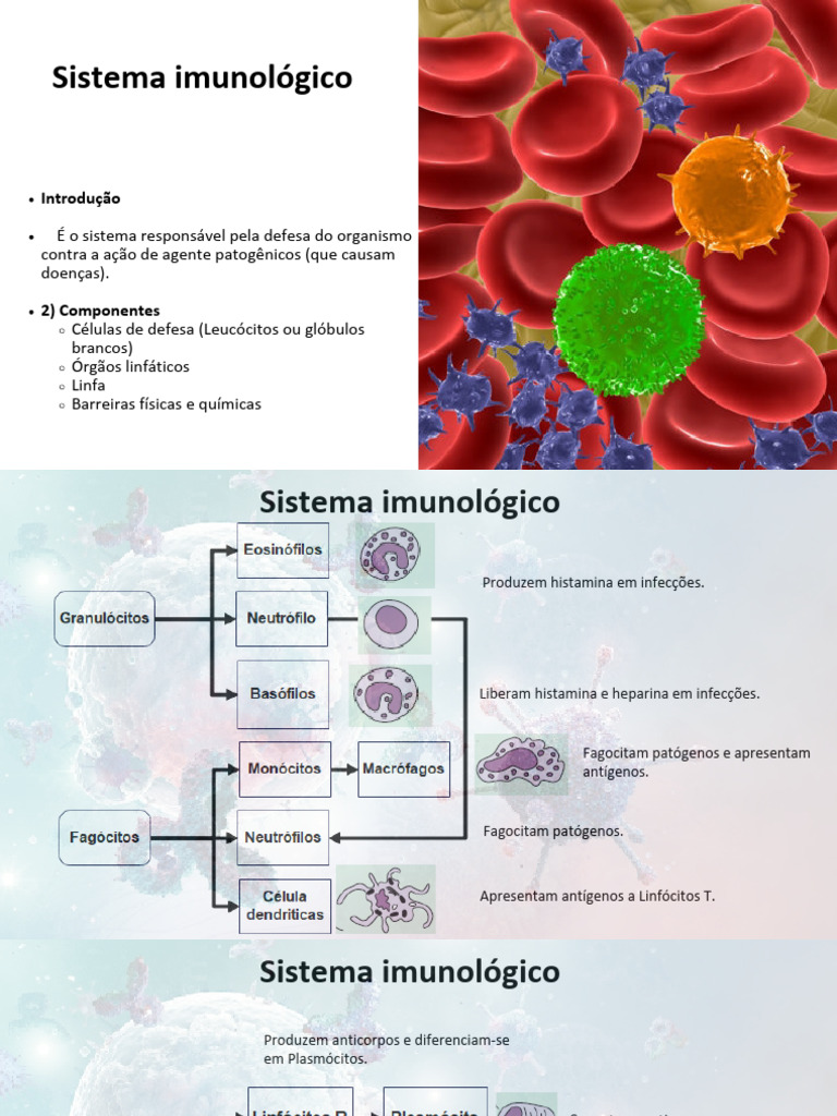 Entendendo o Sistema Imunológico | PDF | Sistema imunológico | Célula T